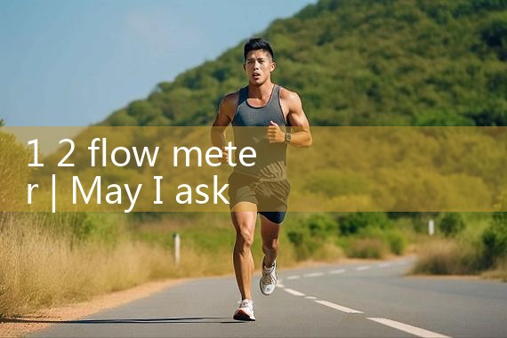 1 2 flow meter|rotameter flow meter