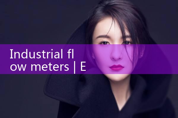 industrial flow meters|rotameter flow meter