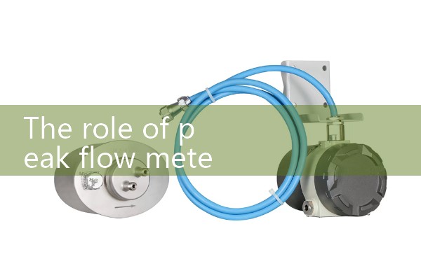 The role of peak flow meter