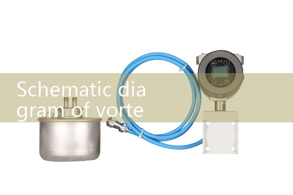 Schematic diagram of vortex flowmeter