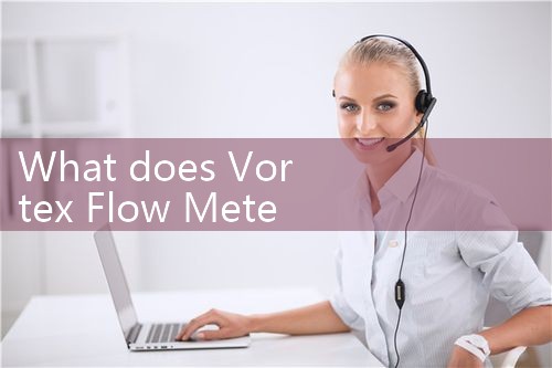 vortex flow meter 4-20mA|mass flow meter