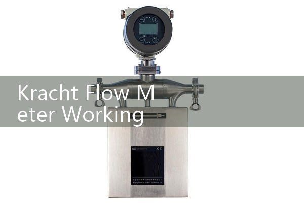 Kracht Flow Meter Working Principle: High-Torque Positive Displacement Spur Gears for Lubrication Oils