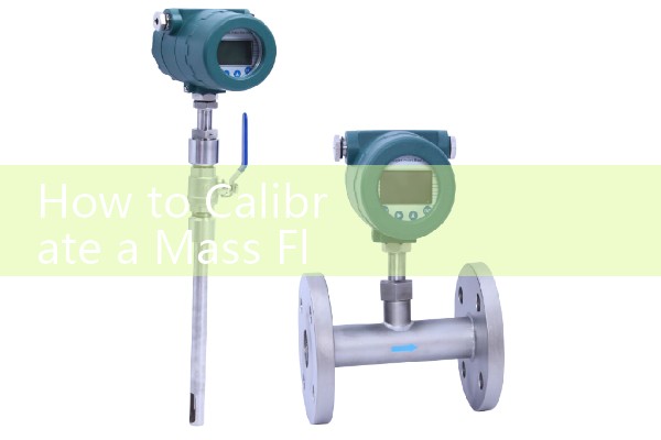 Clampon Flow Meter: Fixed Transit Array Hardware Procurement Options