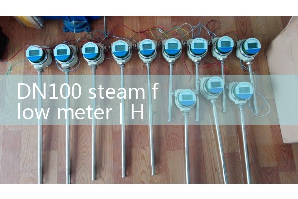 DN100 steam flowmeter