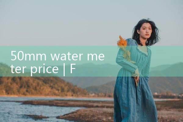 50mm water meter price|rotameter flow meter