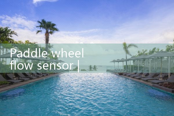 paddle wheel flow sensor|mass flow meter