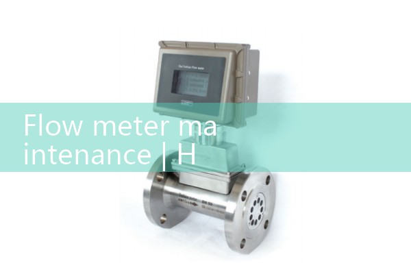 Flow meter maintenance