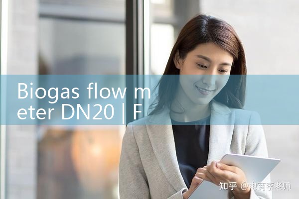 biogas flow meter DN20|flow meter distributor