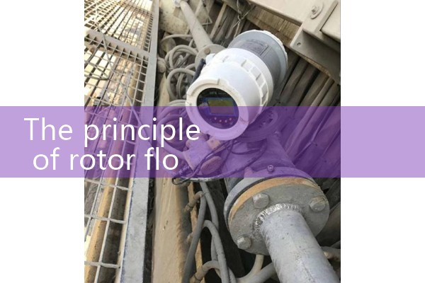 Elliptical gear flowmeter