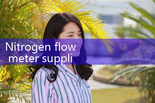 nitrogen flow meter supplier|flow meter distributor