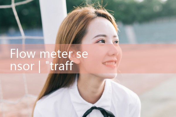 flow meter sensor|rotameter flow meter