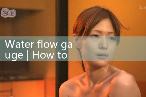 water flow gauge|rotameter flow meter