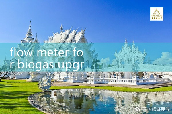 flow meter for biogas upgrading|flow meter distributor