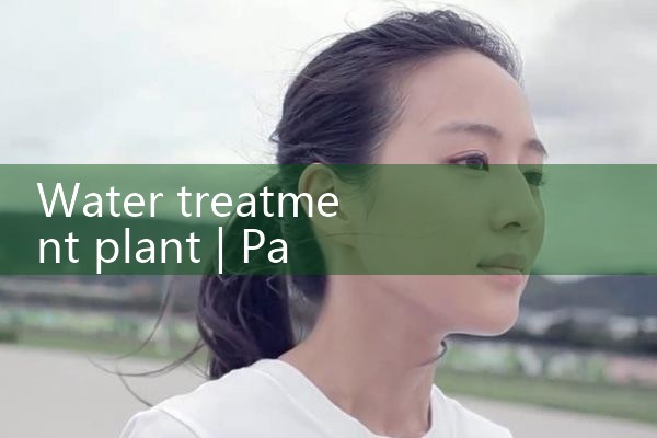 water treatment plant|digital flow meter