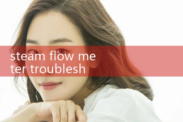 steam flow meter troubleshooting|balo meter