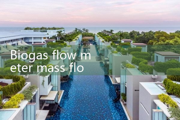 biogas flow meter mass flow|flow meter distributor