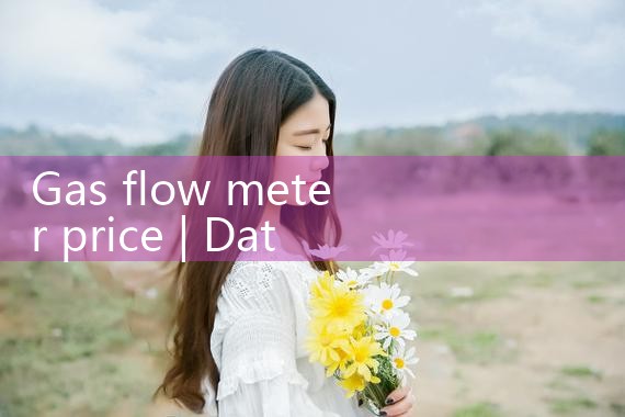 gas flow meter price|rotameter flow meter