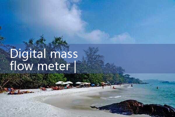 digital mass flow meter|rotameter flow meter