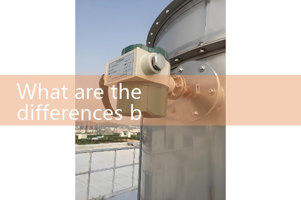 Energy vortex flowmeter