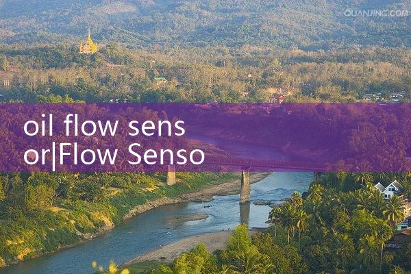 oil flow sensor|mass flow meter