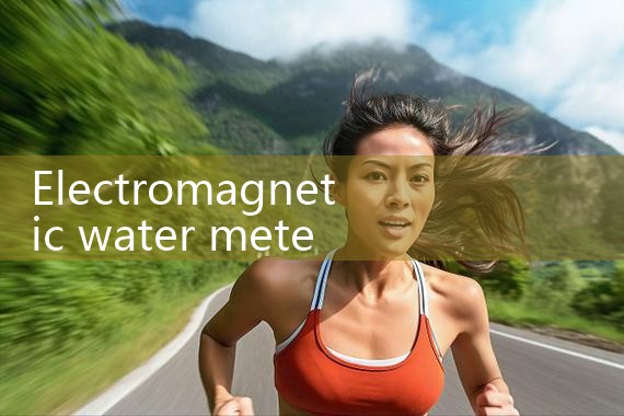 electromagnetic water meter|rotameter flow meter