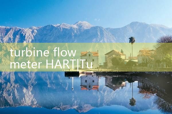 turbine flow meter HART|mass flow meter
