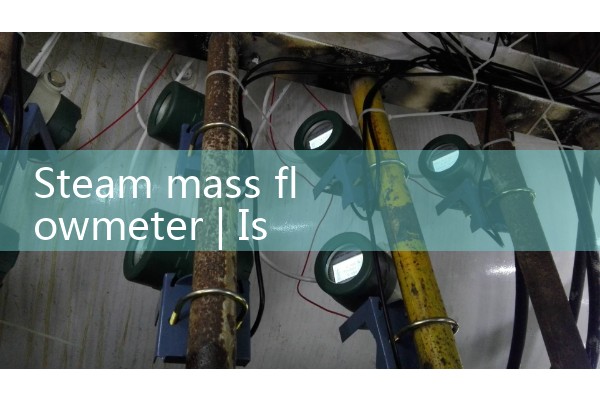 Steam mass flowmeter