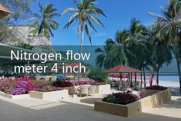 nitrogen flow meter 4 inch|flow meter distributor