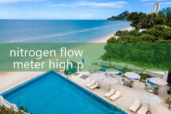nitrogen flow meter high purity|flow meter distributor