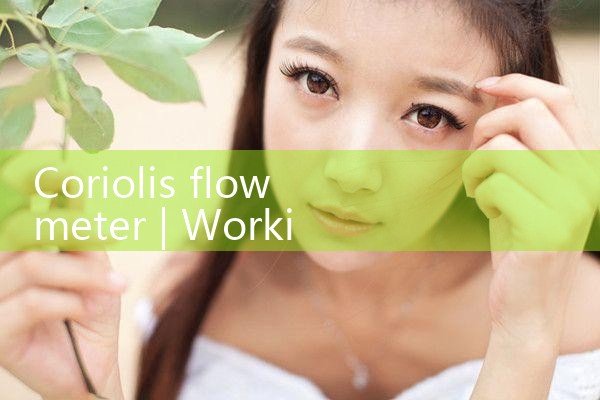 coriolis flowmeter|digital flow meter
