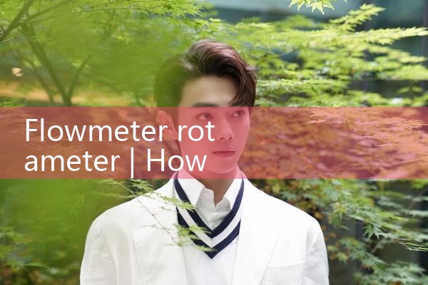 flowmeter rotameter|rotameter flow meter