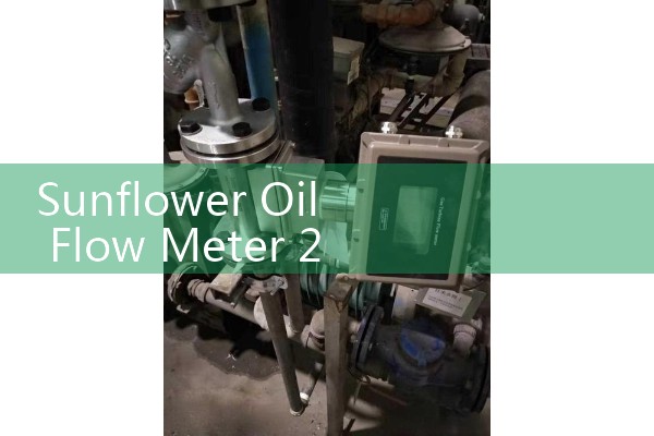 Sunflower Oil Flow Meter 2 Inch: Bottling Line Repeatability and Spill Prevention
