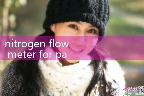 nitrogen flow meter for packaging|flow meter distributor