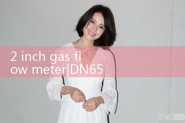 2 inch gas flow meter|balo meter