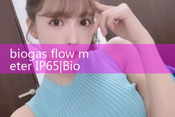 1 2 inch flow meter|balo meter