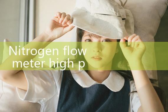 nitrogen flow meter high pressure|flow meter distributor
