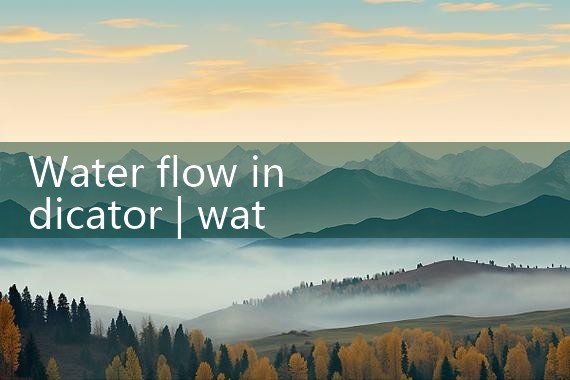 water flow indicator|mass flow meter
