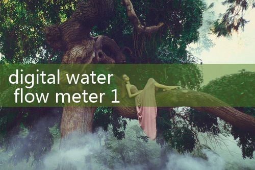 digital water flow meter 1 inch|balo meter