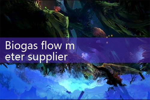 biogas flow meter supplier|flow meter distributor