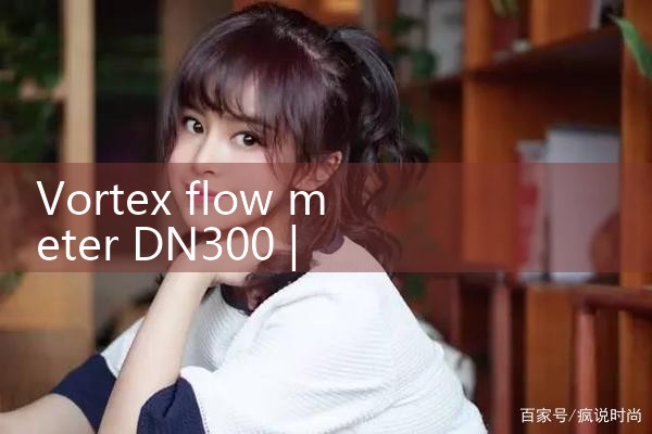 vortex flow meter DN300|mass flow meter