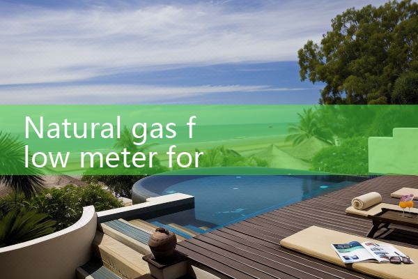 natural gas flow meter for industrial|balo meter