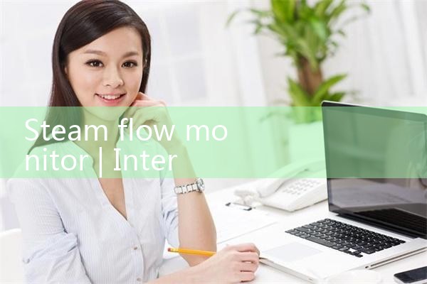 steam flow meter with totalizer|balo meter