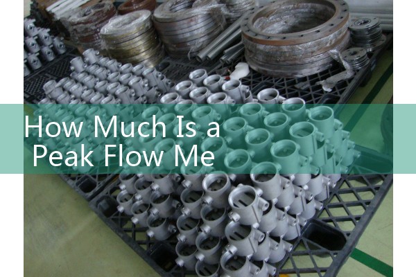 How Much Is a Peak Flow Meter: Medical Device Pricing and Insurance Reimbursement