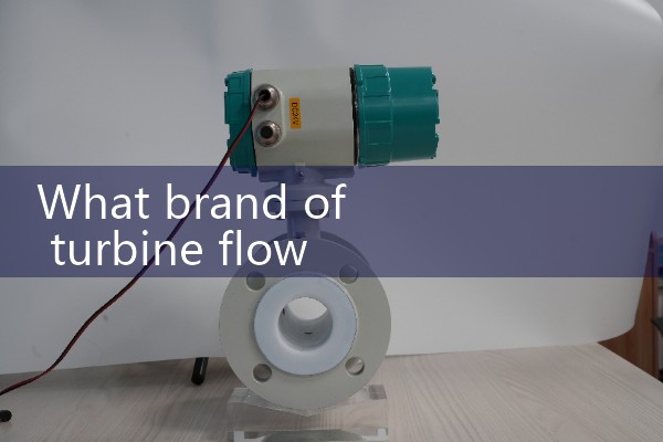 Turbine flowmeter brand