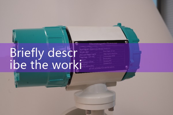 Vortex flowmeter
