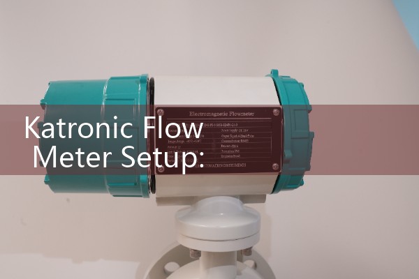 Izmag Electromagnetic Flow Meter Review: Evaluating Sanitary Tri-Clamp Instruments for Dairy and Liquid Food Processing