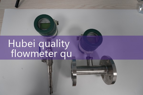 Hubei Quality Flow Meter Quotation