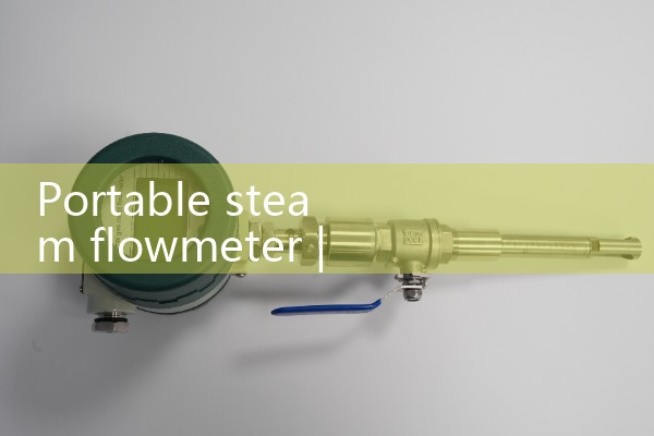 Portable steam flowmeter