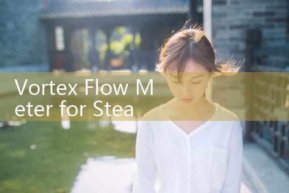 vortex flow meter for steam|rotameter flow meter