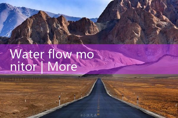 water flow monitor|rotameter flow meter